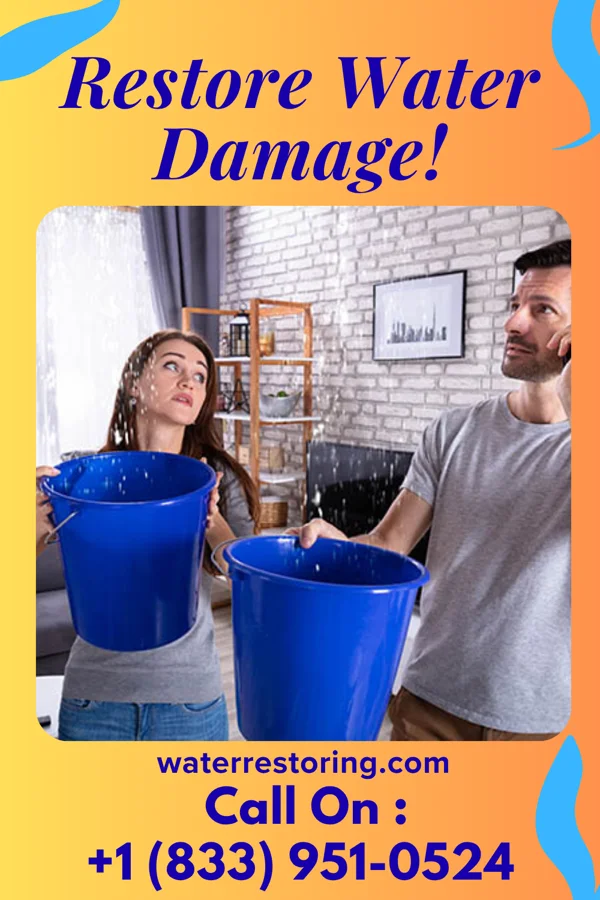 water restoration Platinum Water Restoration Inc Milltown