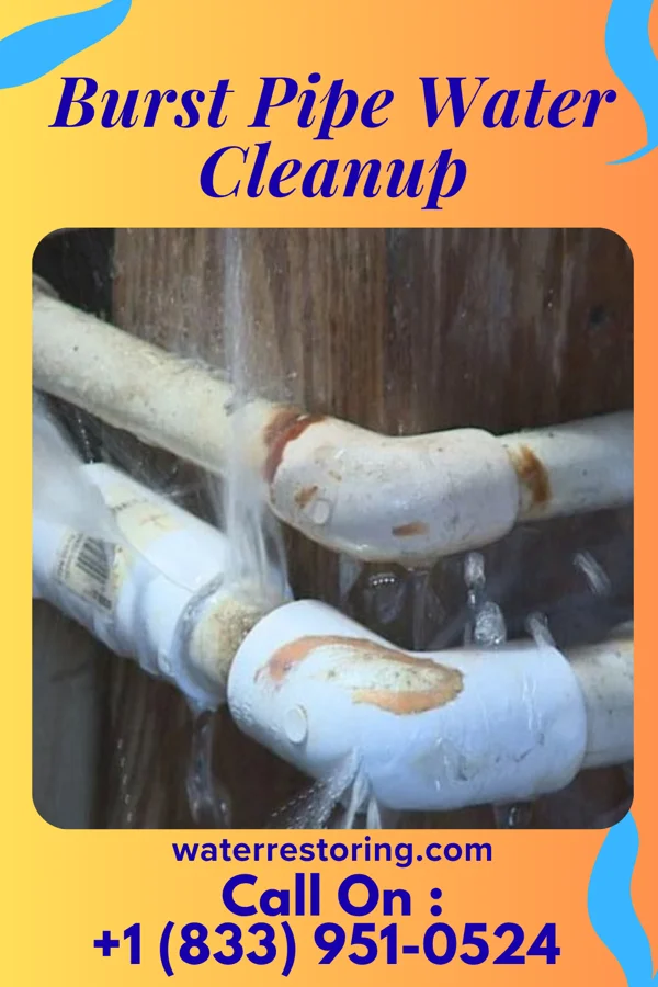 Burst Pipe Water Cleanup in Milltown, SD