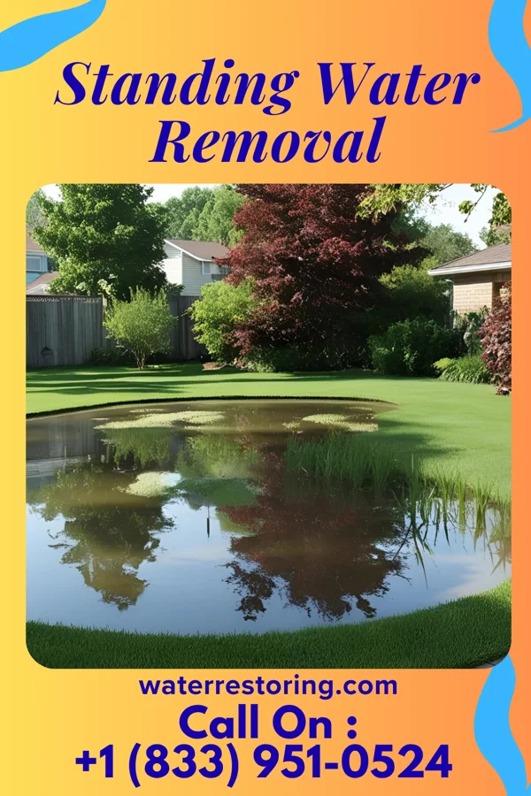 Standing Water Removal in Milltown, SD